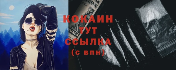 мдпв Бронницы
