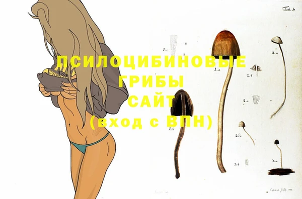 соль курить ск Бородино