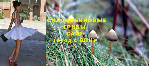 соль курить ск Бородино