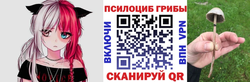 Галлюциногенные грибы мицелий  наркотики  ссылка на мегу ссылки  Наволоки 