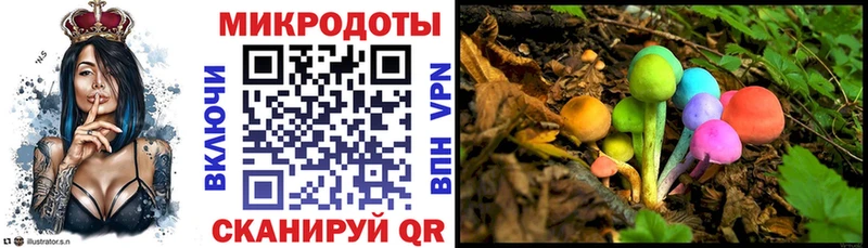 Галлюциногенные грибы Cubensis Наволоки